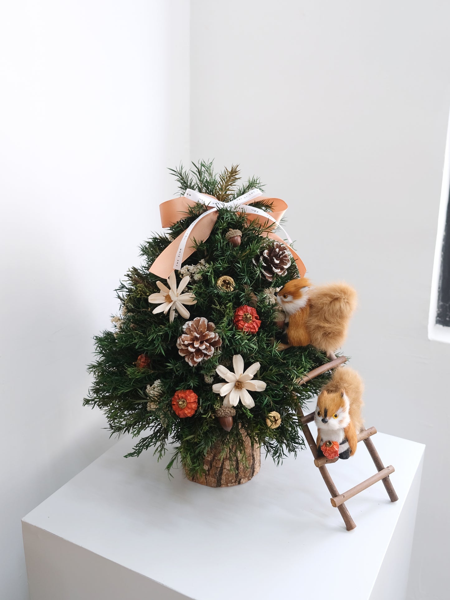 Preserved Christmas Tree