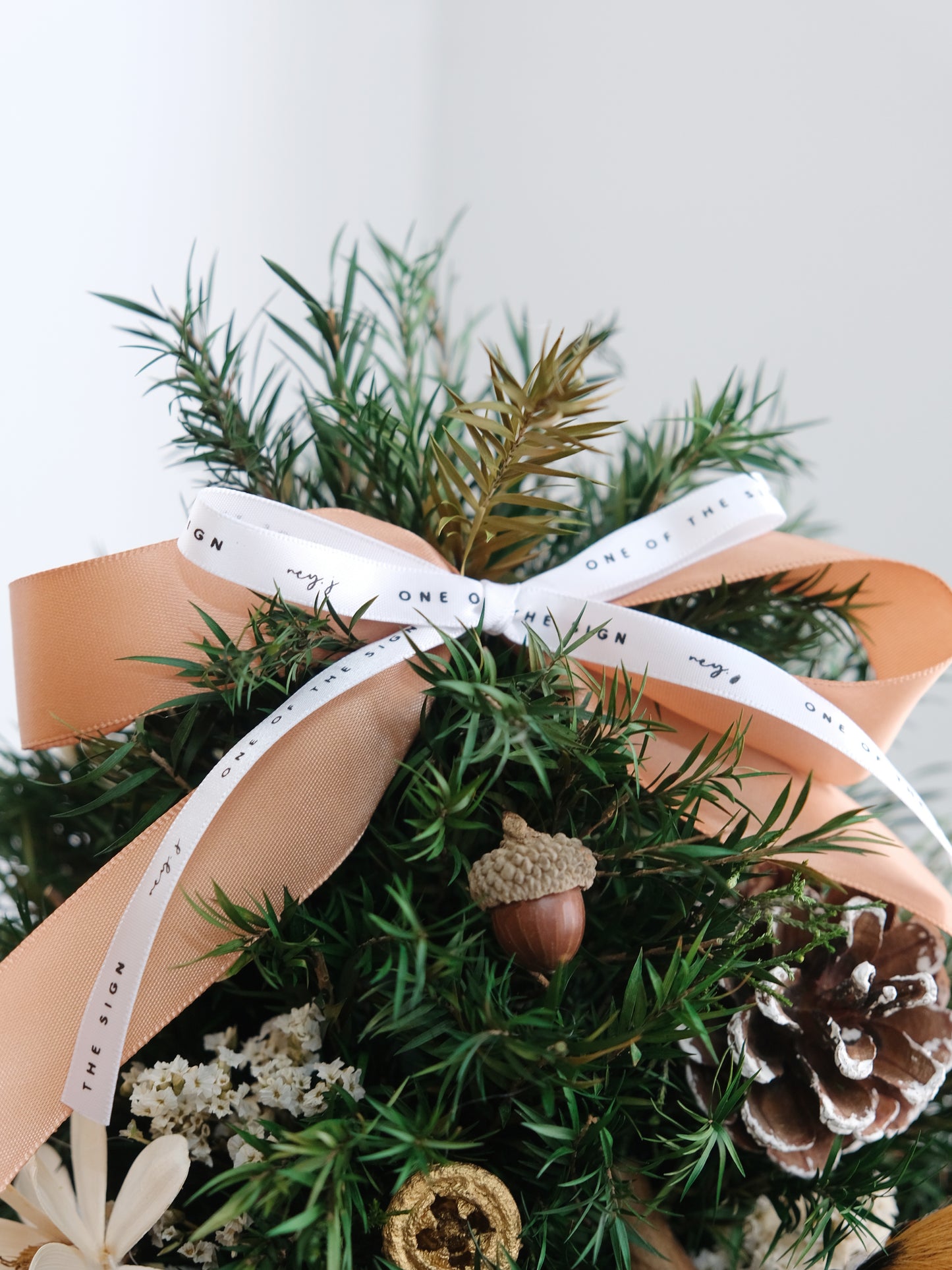 Preserved Christmas Tree