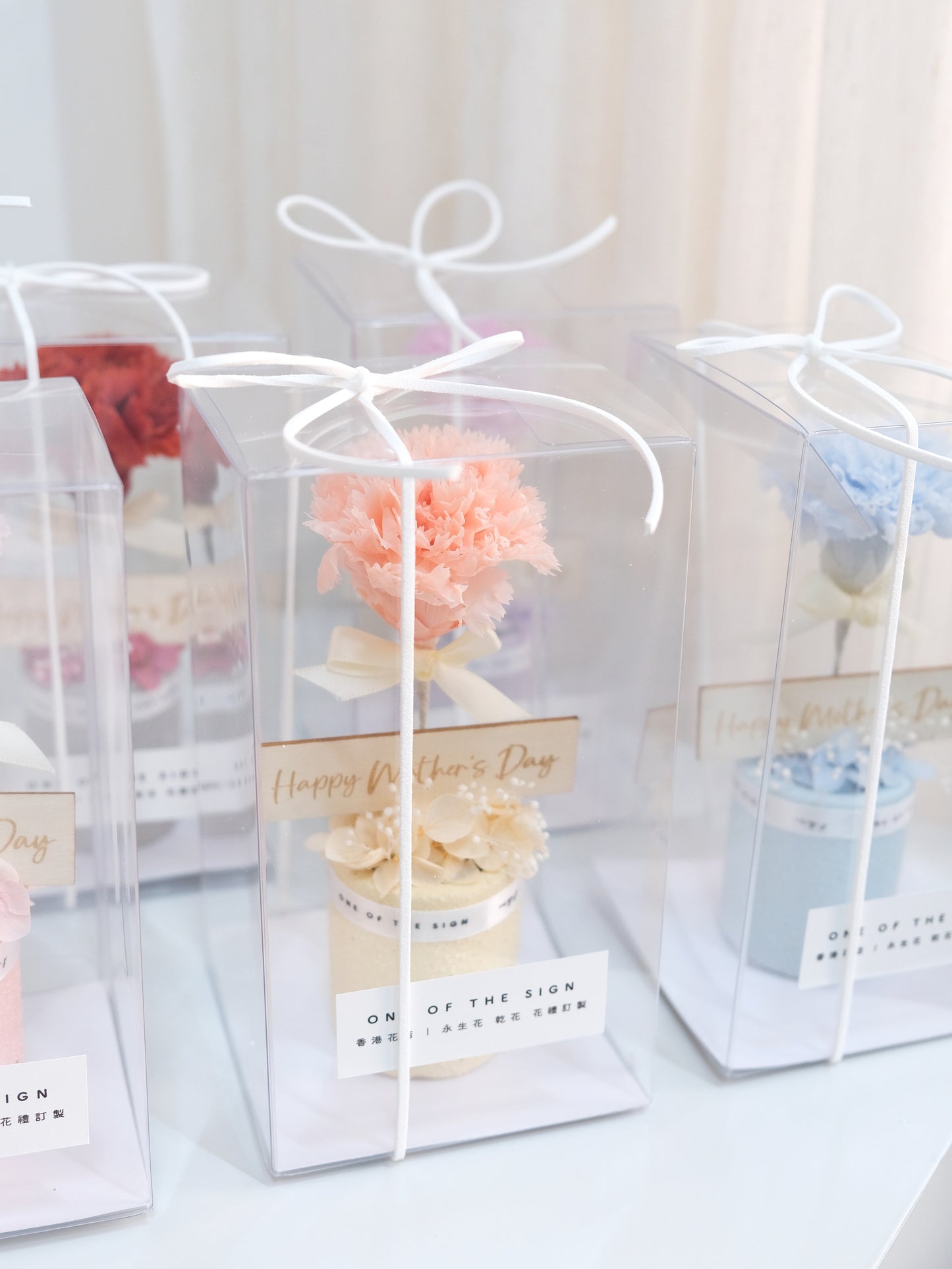 永生花康乃馨小擺設 Preserved Carnation Decoration - Small