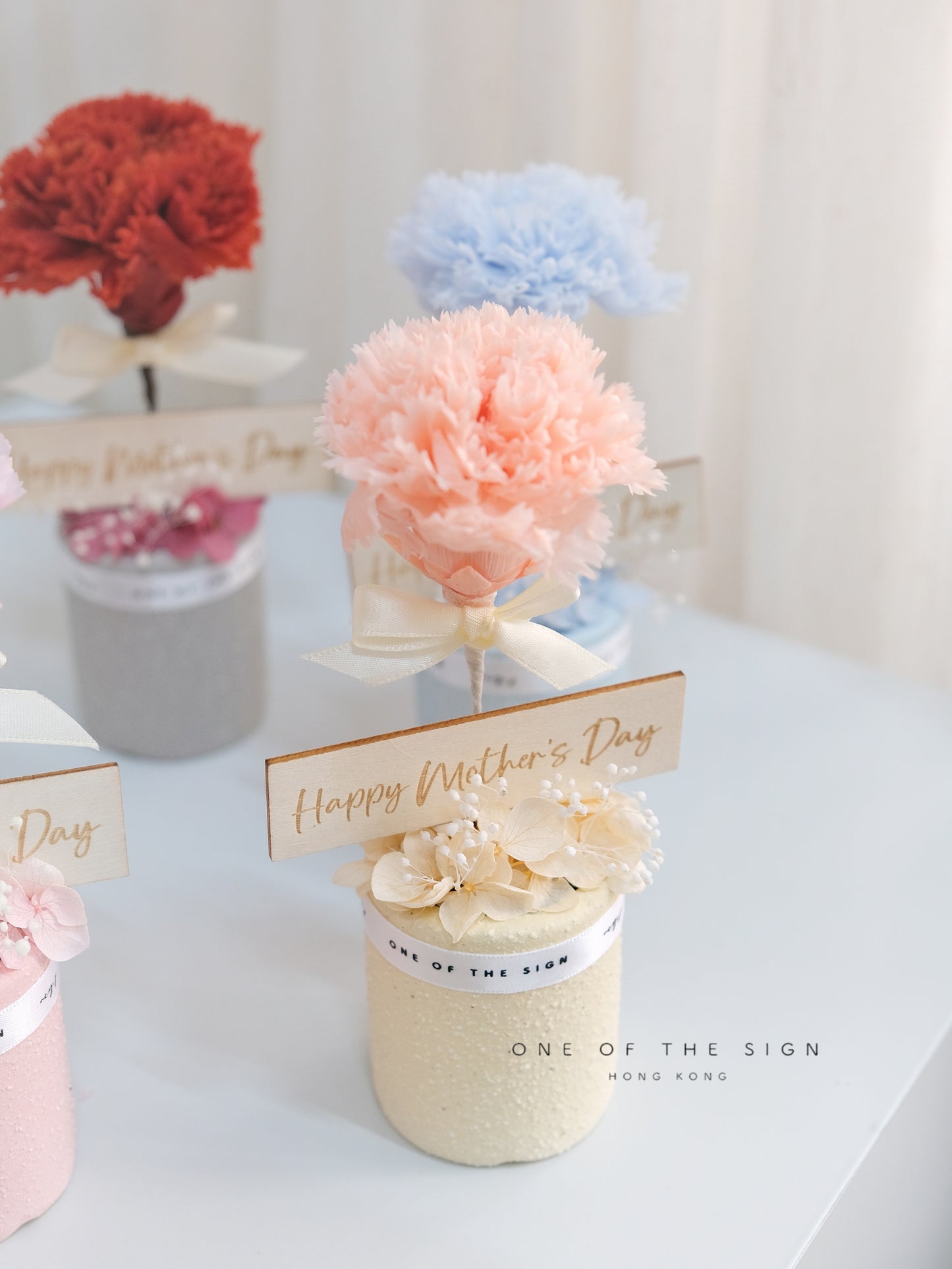 永生花康乃馨小擺設 Preserved Carnation Decoration - Small