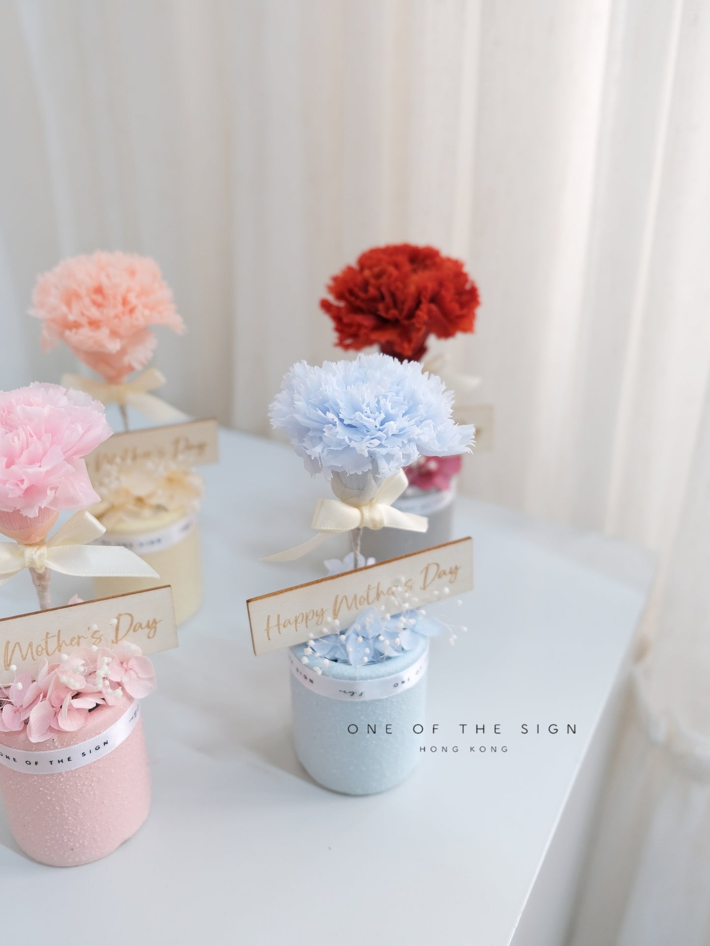 永生花康乃馨小擺設 Preserved Carnation Decoration - Small