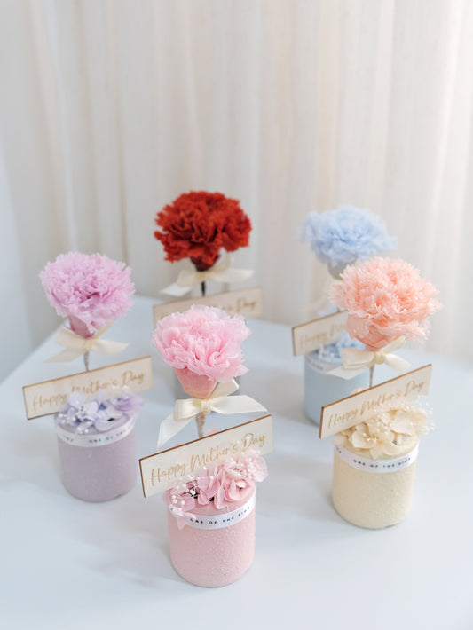 永生花康乃馨小擺設 Preserved Carnation Decoration - Small