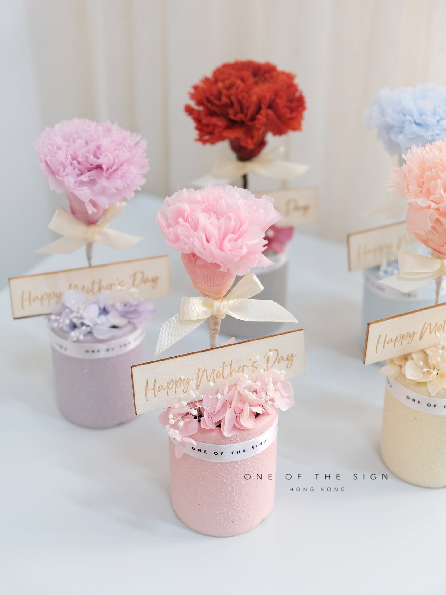 永生花康乃馨小擺設 Preserved Carnation Decoration - Small